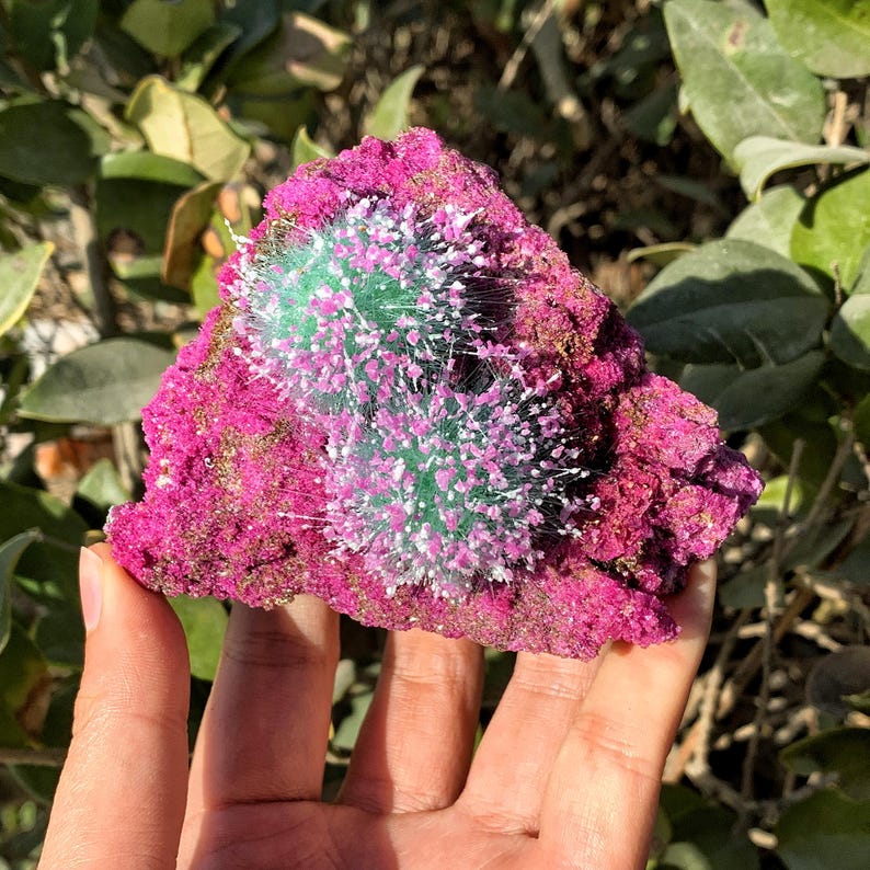 Peut inclure: Une roche rose et verte avec une texture unique et piquante. La roche a un amas de cristaux blancs et verts sur un c&ocirc;t&eacute;.