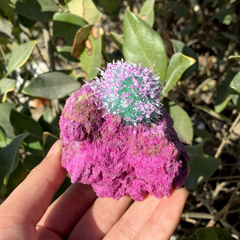 Peut inclure: Une roche rose et verte avec un groupe de petites fleurs roses et blanches sur le dessus.