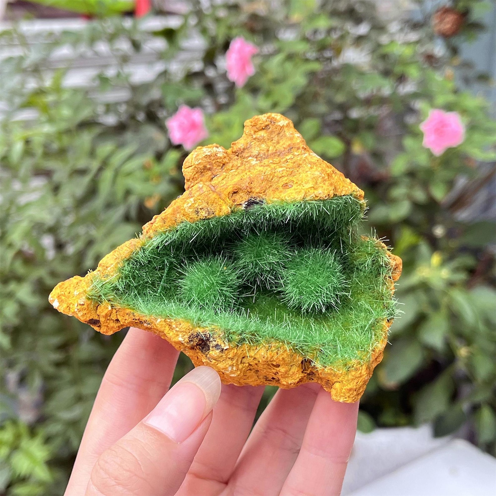 Rare Gold Ore Specimen