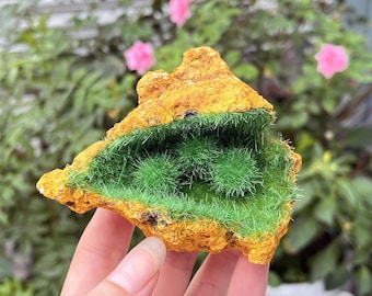 Spécimen de minerai d'or rare, grappe de cristaux, pierre précieuse brute verte, quartz piont, décoration d'intérieur, spécimens de minéraux, collection de cristaux, cadeaux en cristal 1 pièce
