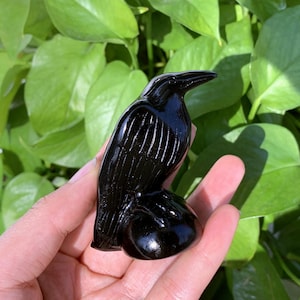 2,4&quot; natuurlijke obsidiaan kraai schedel, kwarts kraai, kristallen kraai snijwerk, kraai sculptuur, woondecoratie, kristallen geschenken, energiekristallen, kristal genezen 1 st