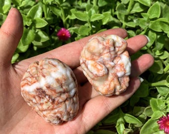 Handmade Red Network Stone Brain, Quartz Crystal Healing Decor