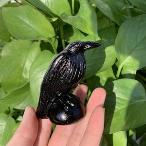 2,4&quot; natuurlijke obsidiaan kraai schedel, kwarts kraai, kristallen kraai snijwerk, kraai sculptuur, woondecoratie, kristallen geschenken, energiekristallen, kristal genezen 1 st