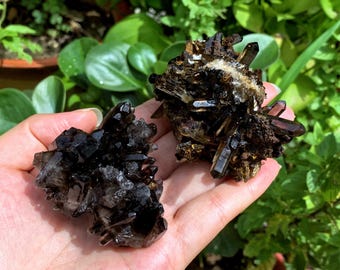 50g+ Natural Smoky Quartz Cluster,Home Decoration,Crystal collection,Mineral specimens,Reiki Healing 1PC