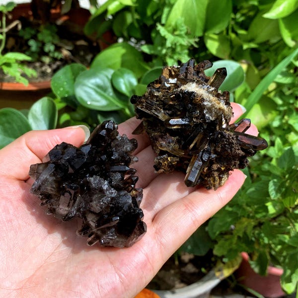 50g+ Natural Smoky Quartz Cluster,Home Decoration,Crystal collection,Mineral specimens,Reiki Healing 1PC