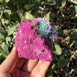 Peut inclure: Une roche rose et verte avec une texture duveteuse. La roche est tenue dans une main.