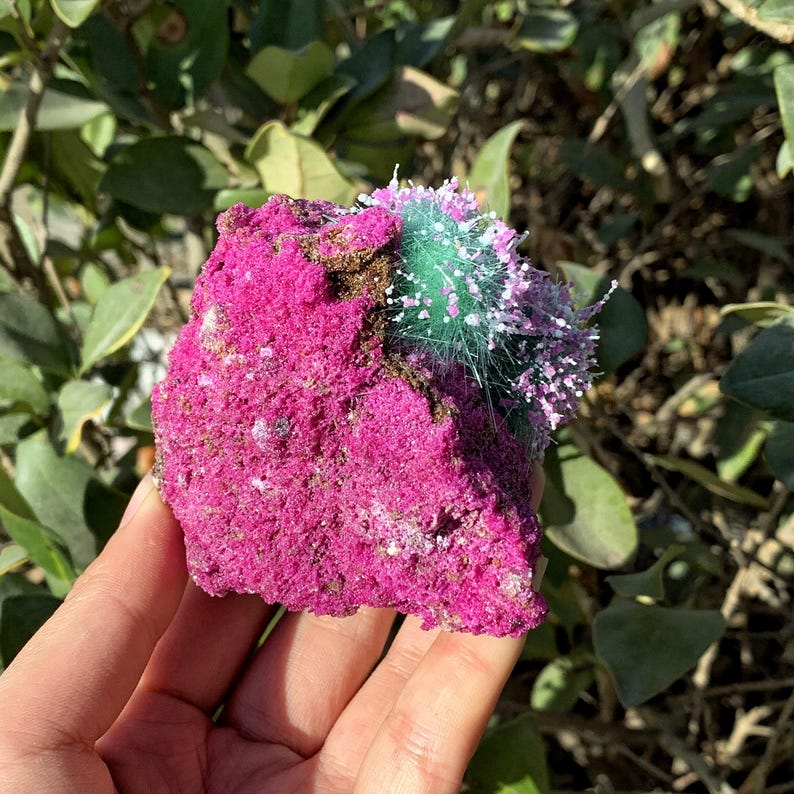 Peut inclure: Une roche rose et verte avec une texture duveteuse. La roche est tenue dans une main.