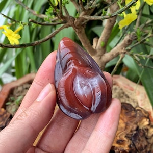 May include: A red and purple agate pendant carved in the shape of a stylized flower. The pendant has a smooth, polished surface and intricate details.