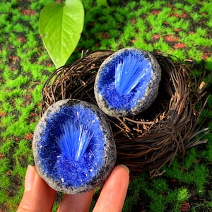 May include: Two blue crystal geodes with a white, fluffy, crystal-like material inside. The geodes are sitting in a brown bird's nest.