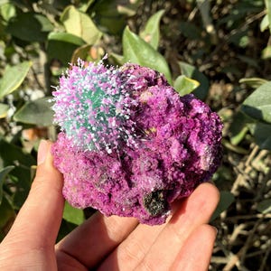 Peut inclure: Une grosse roche cristalline violette surmont&eacute;e d'un objet plus petit, vert et blanc, en forme de fleur &eacute;pineuse.