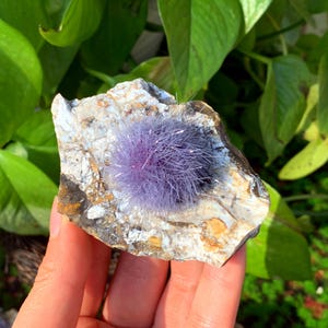 Op de afbeelding: Een paars, pluizig, mineraalspecimen op een rots. Het mineraal is een cluster van kleine, naaldvormige kristallen.