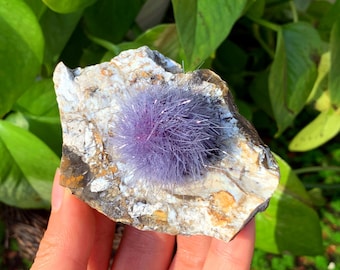 Rare Zeolite Dandelion Ore Specimen, Crystal Cluster, Home Decor
