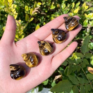 Hand Carved Tiger's Eye Sleepy Cat: Crystal Animal Decor (1.1")