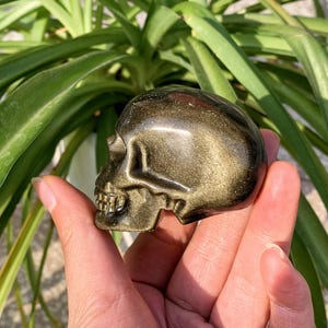 2.1&quot; Natural Gold Obsidian Skull,Quartz Skull,Crystal Skull,Skull Sculpture,Gem Skull,Crystal Heal,Reiki HeaL,Home decoration,Crystal Gifts