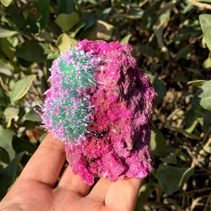 Peut inclure: Une roche rose et verte avec une texture duveteuse. La roche est tenue dans une main.