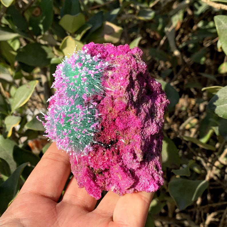 Peut inclure: Une roche rose et verte avec une texture duveteuse. La roche est tenue dans une main.