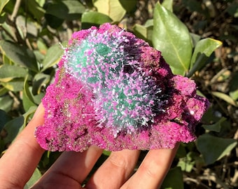 Espécime mineral raro de coríndon vermelho: Ponta de quartzo, coleção de cristais