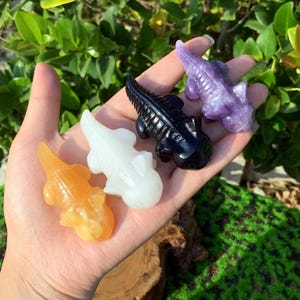 May include: Four small carved crystal axolotl figurines. The axolotls are in various colors, including white, black, yellow, and purple.