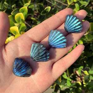 1,1" natuurlijke labradoriet, schelp kwarts, snijwerk kristal, mineraal exemplaar, decor huis, reikigenezing, geschenken kristal, kristalchakra