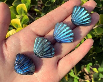 1.1" Natural Labradorite Shell,Quartz Shell,Crystal Shell Carving,Mineral Specimen,Home Decor,Reiki Healing,Crystal Gifts,Crystal chakra