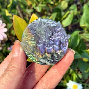 May include: A round, iridescent labradorite gemstone carved with a winged unicorn. The gemstone has a purple, green, and gold sheen.