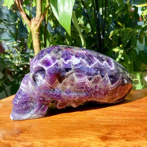 Puede incluir: Una escultura de calavera de amatista tallada. La calavera es de color púrpura oscuro con patrones cristalinos blancos y claros. La escultura está sobre una superficie de madera, con follaje verde en el fondo.