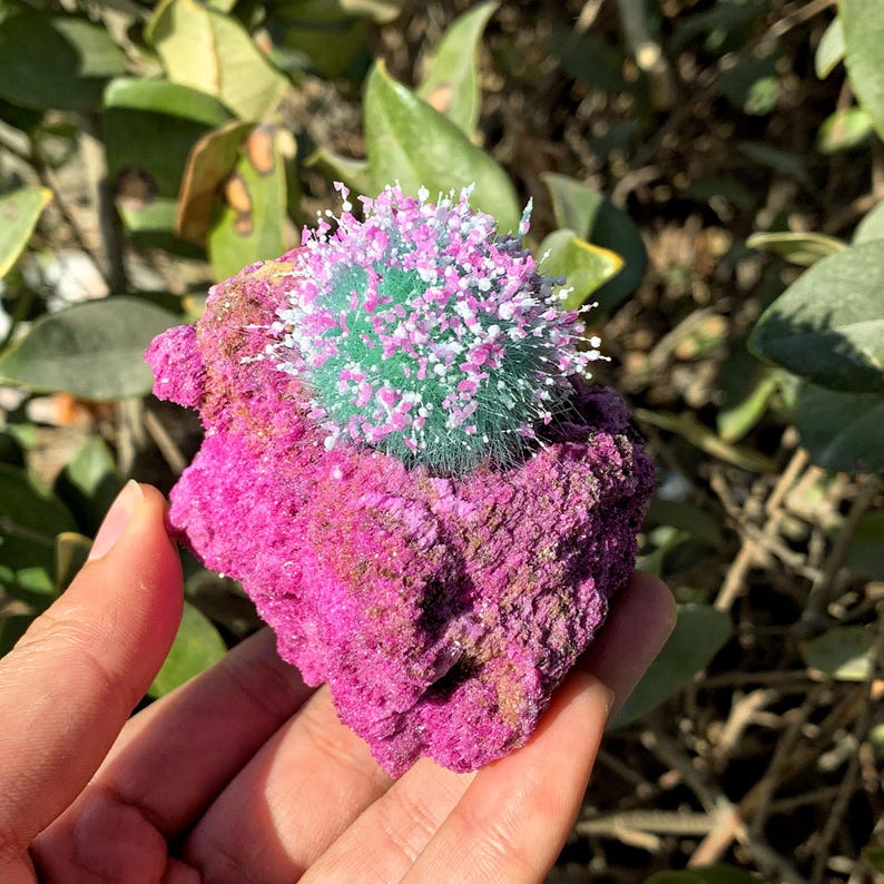 Peut inclure: Une roche rose et verte avec une boule h&eacute;riss&eacute;e blanche et verte sur le dessus. La roche est textur&eacute;e et a une surface rugueuse.