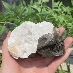 450g Natural Calcite Crystal skull,Hand Carved Skull,Crystal Skull,Reiki Healing Statue Collection,Mineral Specimen,Home decor,Crystal Gift