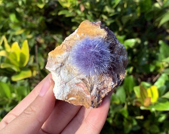 Rare Zeolite Dandelion Mineral Specimen,Quartz Crystal Cluster,Reiki Healing,Mineral Specimens,Crystal Collection,Crystal Gifts,Home Decor