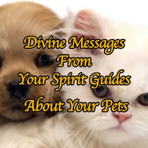 Mensajes divinos rápidos de sus Guías Espirituales sobre sus mascotas / Perros y gatos vivos que leen a través de Guías Espirituales