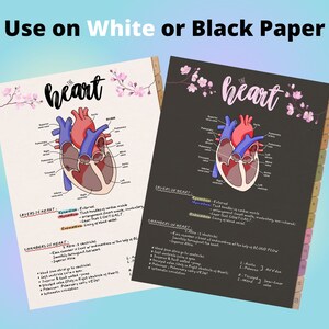 Anatomy Organ Stickers: 110 Study Stickers for Goodnotes, Notability ...