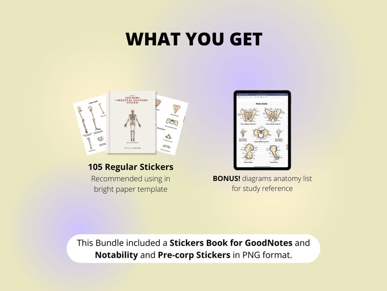Skeletal System Sticker Skeletal System Stickers: Hand-drawn Anatomy, Goodnotes, Notability ...