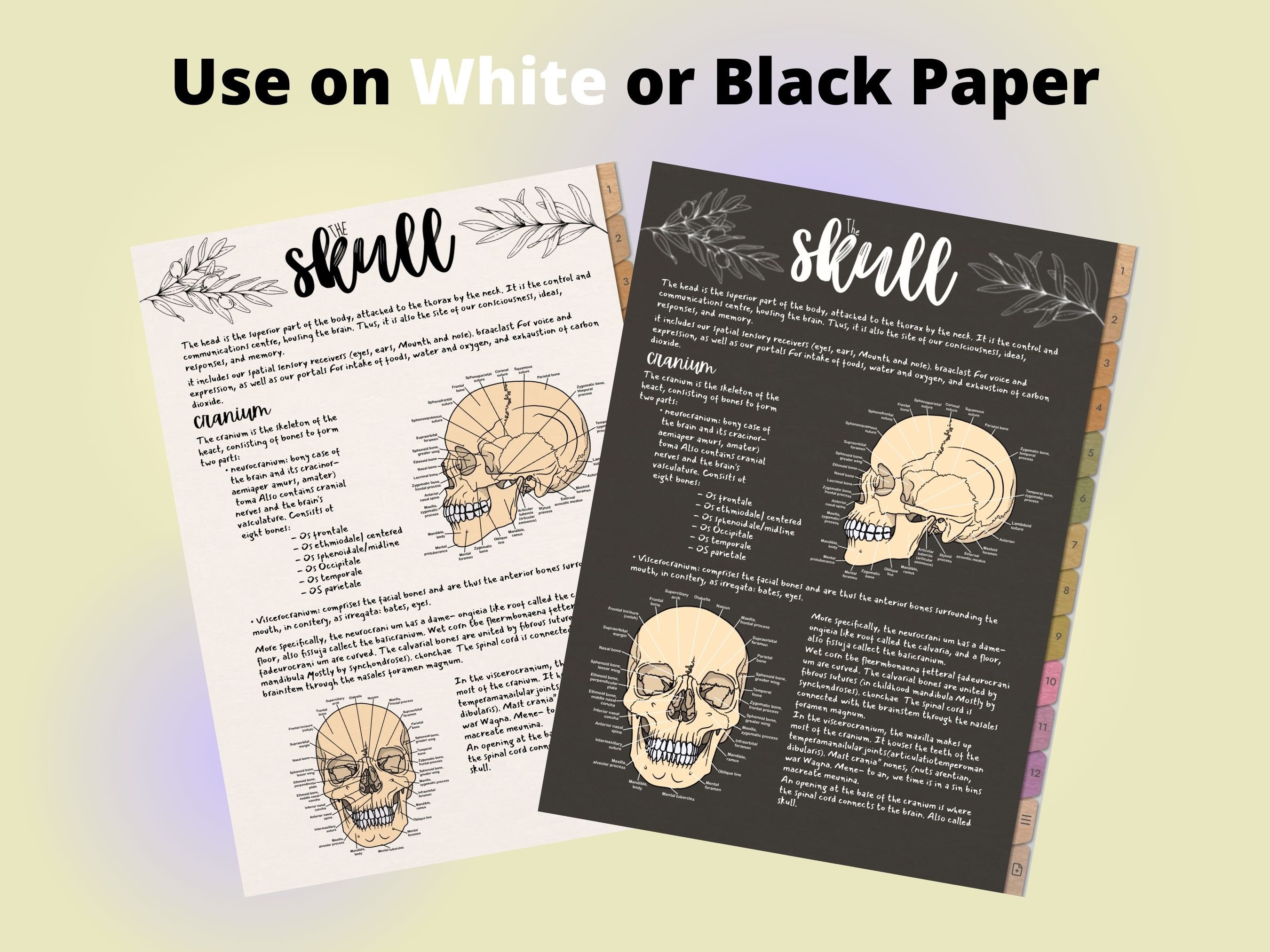 Skeletal System Sticker Skeletal System Stickers: Hand-drawn Anatomy, Goodnotes, Notability ...