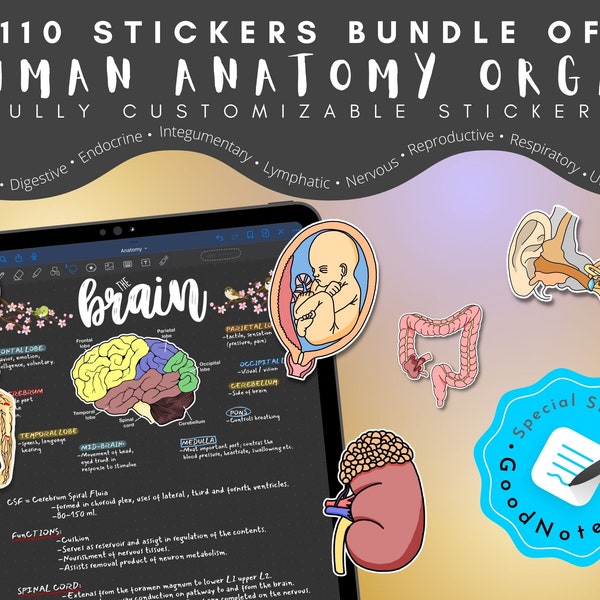 110 Customizable Anatomy Organ Stickers, GoodNotes Stickers, Anatomy Stickers, Hand-drawn, Digital file, For Studying Planning & Note-Taking