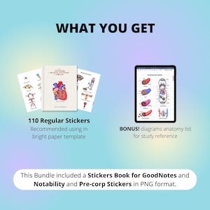 Anatomy Organ Stickers: 110 Study Stickers for Goodnotes, Notability ...