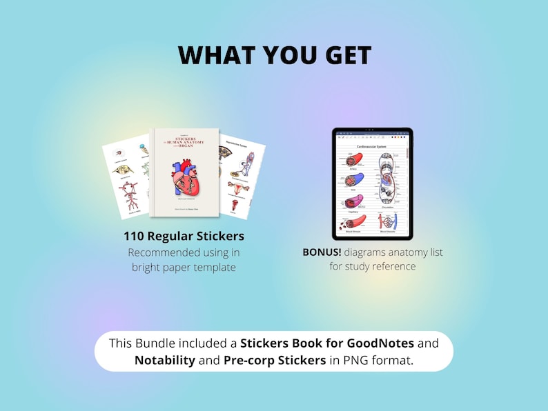 Anatomy Organ Stickers: 110 Study Stickers for Goodnotes, Notability ...