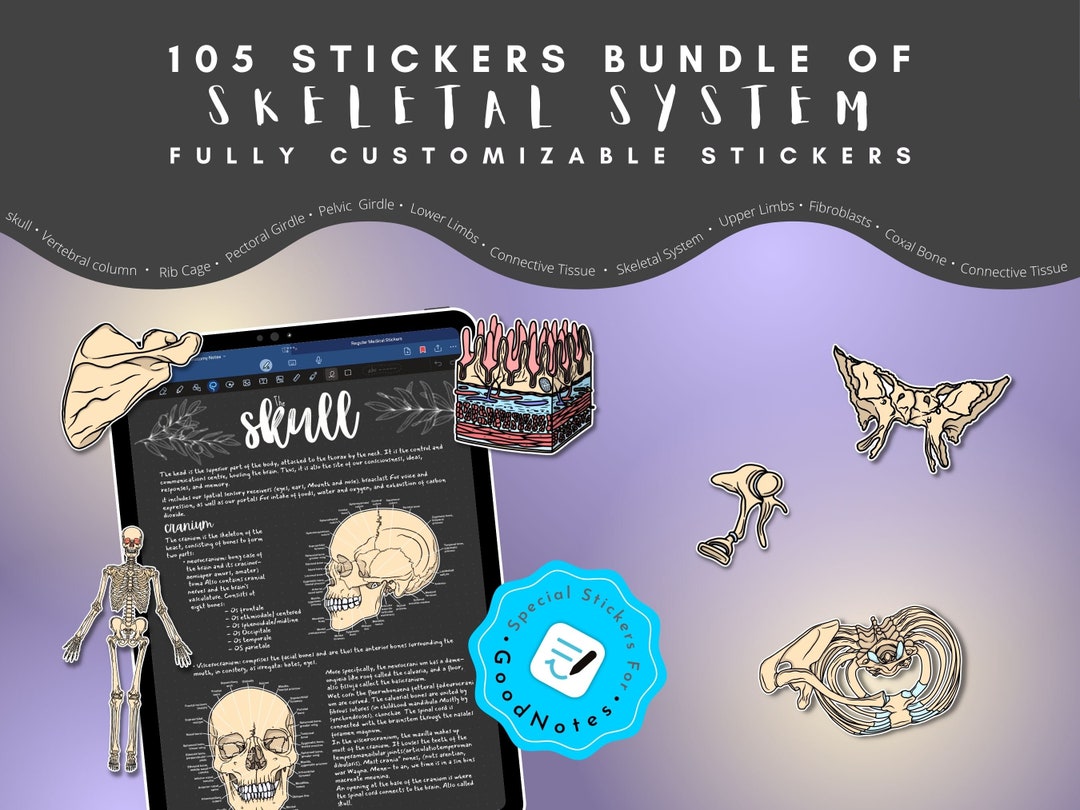 Skeletal System Stickers: 105 Customizable Anatomy Stickers for ...