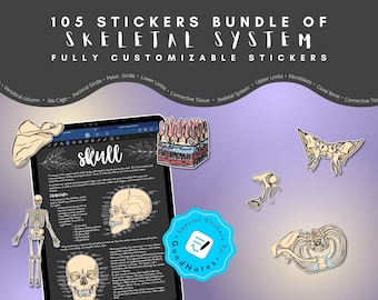 Skeletal System Stickers: 105 Customizable Anatomy Stickers for GoodNotes (Digital Download)