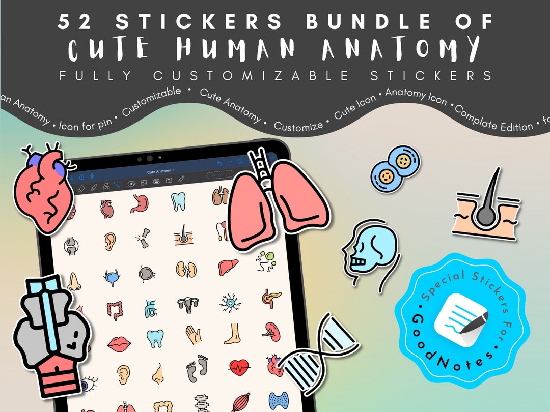 Cute Human Anatomy Goodnotes Stickers Biology & Anatomy Etsy