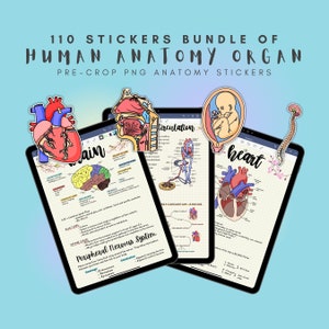 110 Anatomy Organ Stickers, GoodNotes Stickers, Notability Stickers, Anatomy Stickers, Pre-Crop Stickers, For Study, Planning & Note-taking