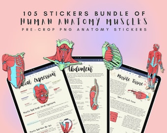 May include: A set of 105 digital stickers featuring illustrations of human anatomy muscles. The stickers are pre-cropped and in PNG format. The image shows a variety of muscle groups, including the face, abdomen, back, and torso. The stickers are perfect for students, teachers, or anyone interested in human anatomy.