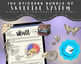 105 Customizable Skeletal Stickers, Connective Tissue, GoodNotes Stickers, Ultimate Skeleton Stickers, Hand-drawn, For Study and note-taking