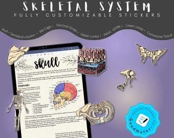 105 Customizable Skeletal Stickers, Connective Tissue, GoodNotes Stickers, Ultimate Skeleton Stickers, Hand-drawn, For Study and note-taking