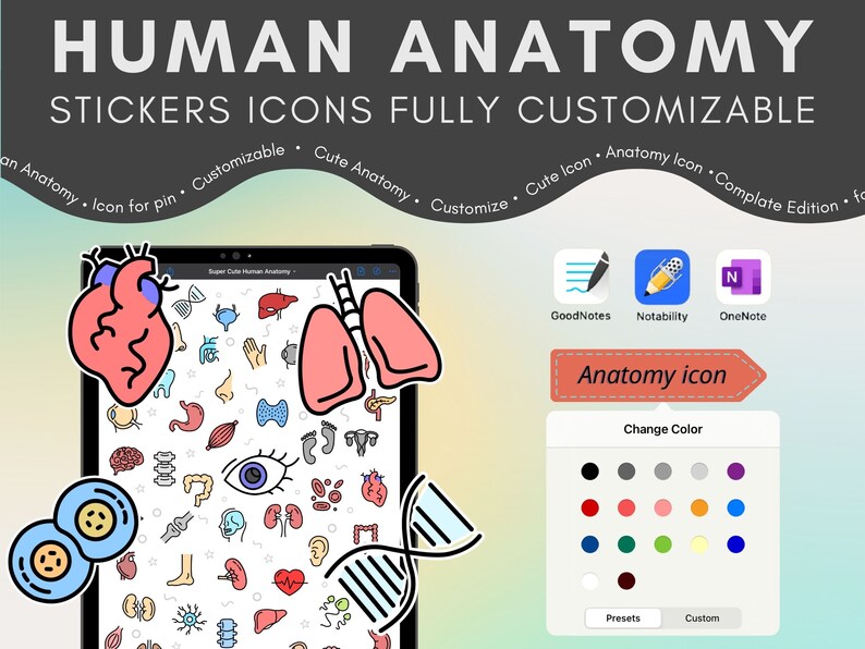 Cute Human Anatomy Icons Goodnotes Stickers Biology & Etsy UK