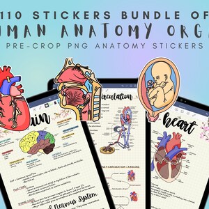 110 Anatomy Organ Stickers, GoodNotes Stickers, Notability Stickers, Anatomy Stickers, Pre-Crop Stickers, For Study, Planning & Note-taking