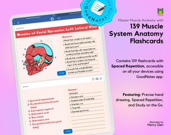 139 Set of Muscle System Flashcards, GoodNotes Study Set, Digital flashcard, For Medical Student and Nurse Student