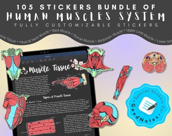 105 Customizable Muscle Stickers, GoodNotes Stickers, Ultimate Muscle Stickers, Hand-drawn, Digital file, For Study, Planning & Note-Taking