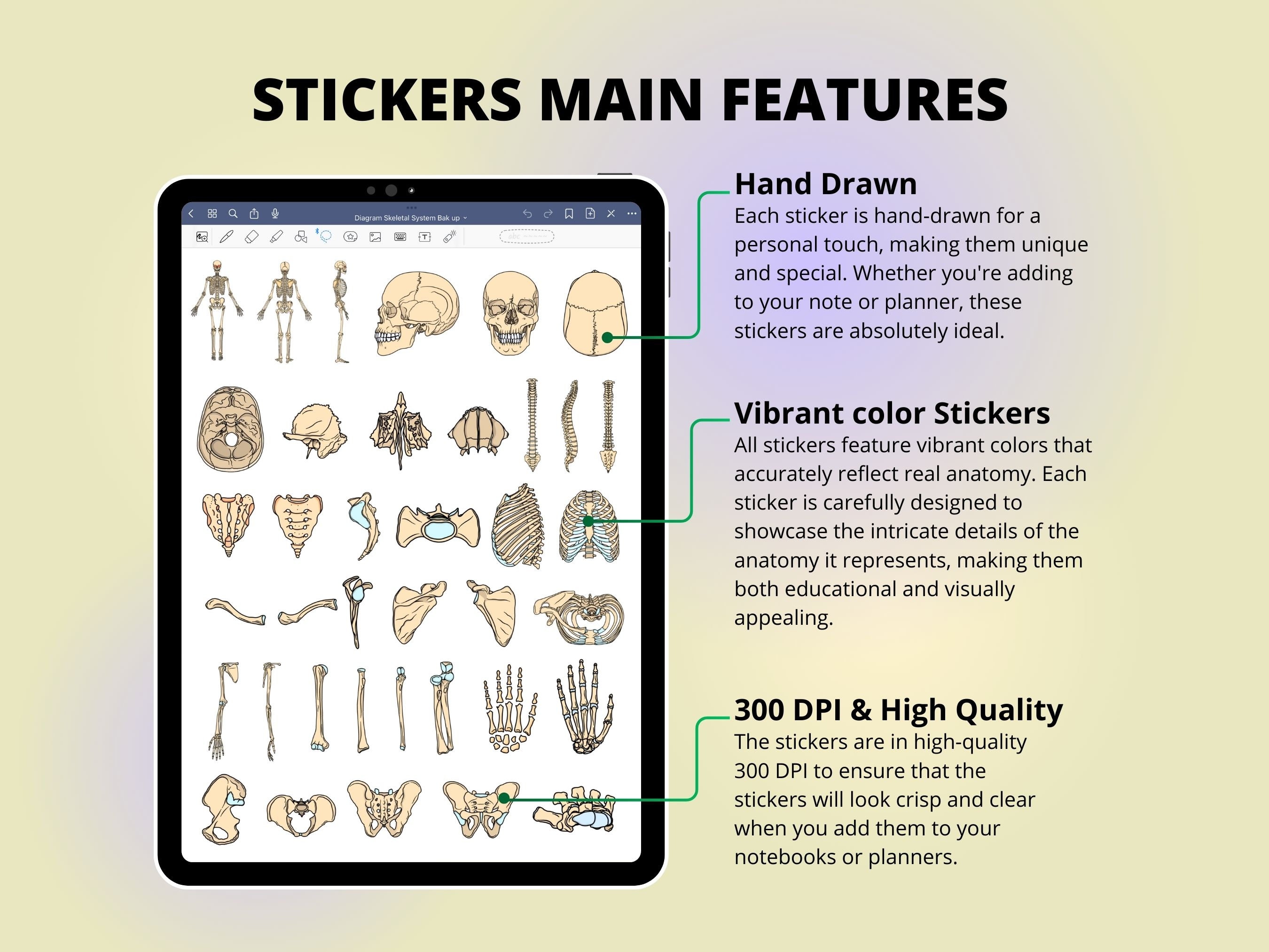 Skeletal System Sticker Skeletal System Stickers: Hand-drawn Anatomy, Goodnotes, Notability ...