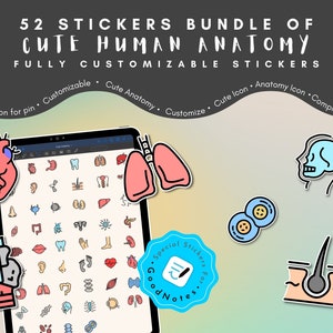 Cute Human Anatomy,  GoodNotes Stickers, Biology & Anatomy Digital Stickers, Hand-Drawn, Customizable Stickers, For Study and Planning