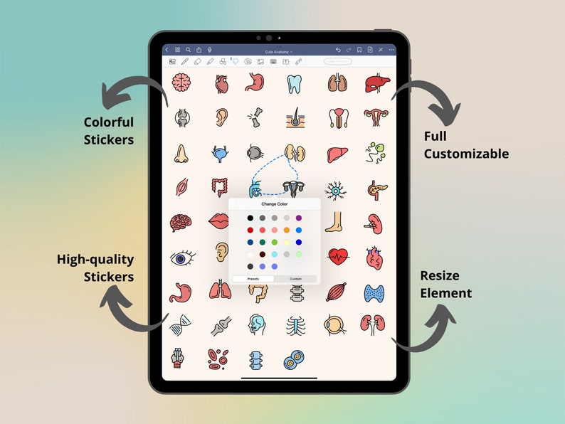 Cute Human Anatomy Goodnotes Stickers Biology & Anatomy Etsy